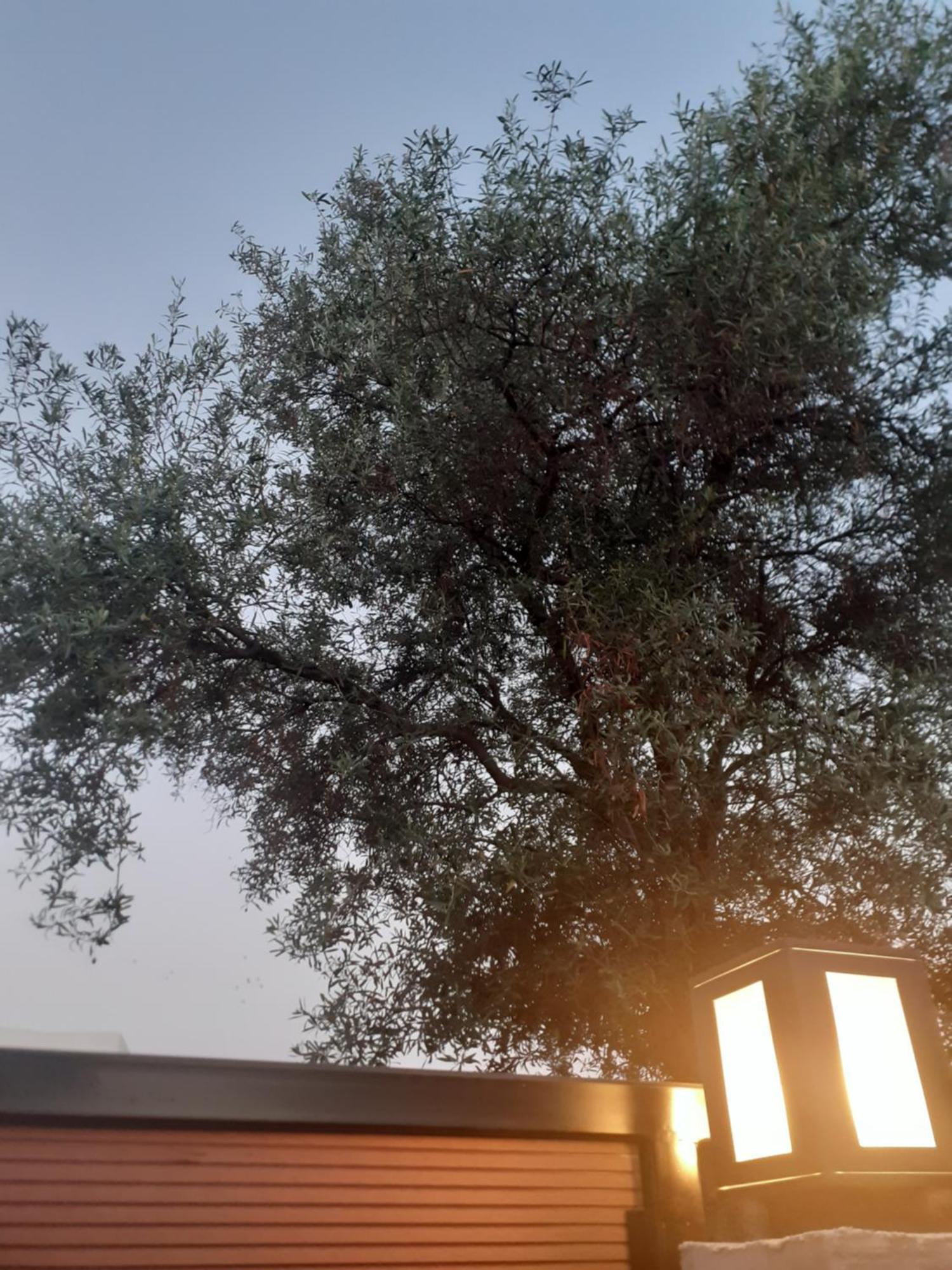 Acta Luxury Rooms Nikiti  Exterior foto